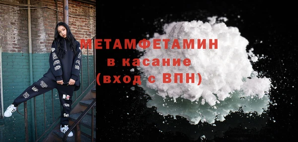 прущие грибы Волоколамск