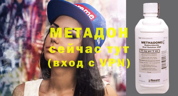 прущие грибы Волоколамск