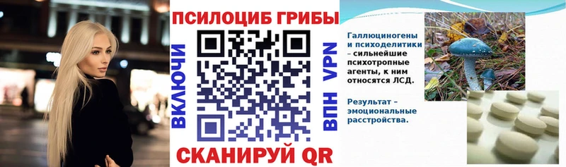 Псилоцибиновые грибы Psilocybe  Луза 