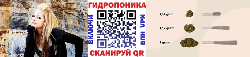 Каннабис план  Луза 